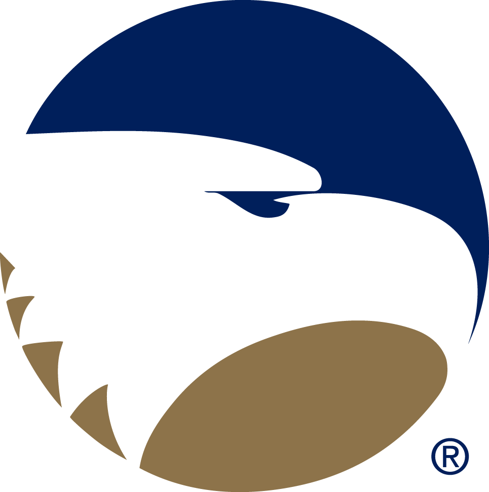 Georgia Southern Eagles 2004-Pres Alternate Logo v3 iron on transfers for fabric
